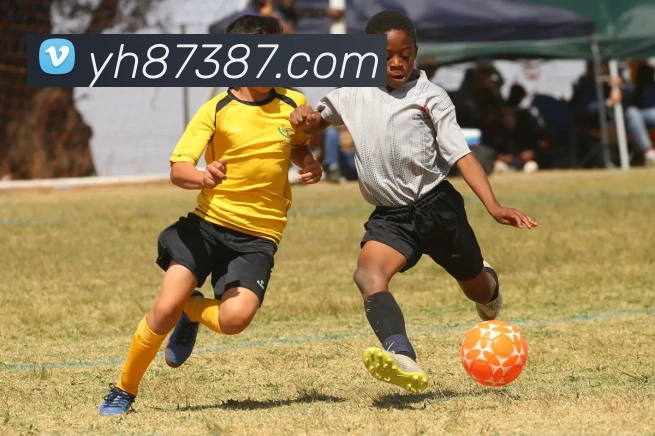 银河娱乐官网入口APP 体育赛事宣传图